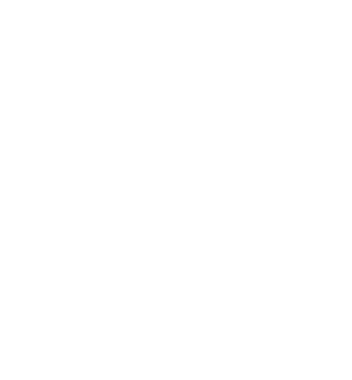 SRNOVELTY Logo